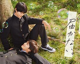 滕州网站优化推荐公司